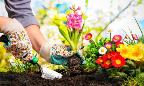 Hand Garden Tools for Weeding