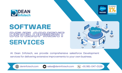 One of the Top Salesforce Development Services Provider Companies