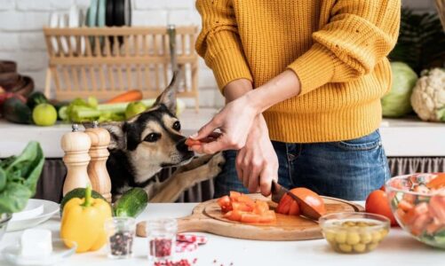 Avoid Dog Food